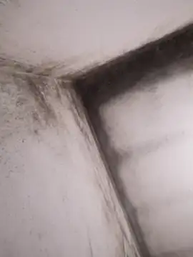 Snapshot of Lamich chatting on February 13, 2026, 9:33 pm Lamich online show from February 13, 2026, 9:33 pm