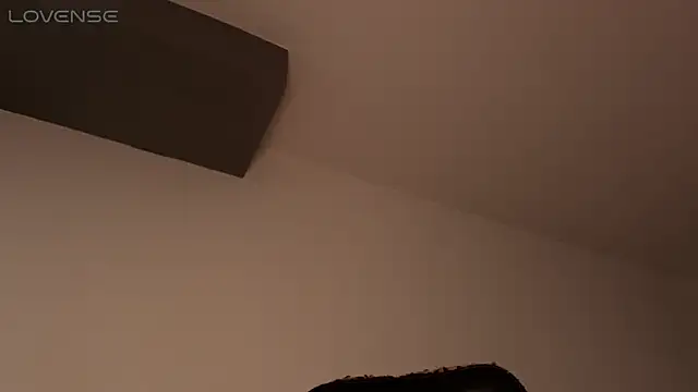 Snapshot of BjornSteel chatting on February 27, 2026, 6:13 am BjornSteel online show from February 27, 2026, 6:13 am