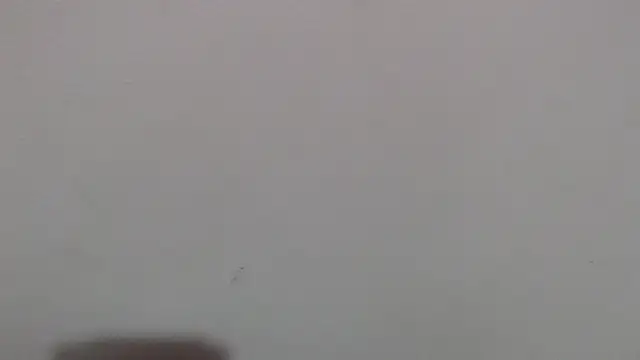 im angel777 online show from February 4, 2026, 10:04 pm