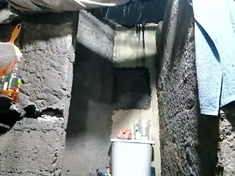 polla large active online show from April 11, 2026, 12:26 am