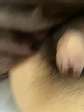 oyuto0831 online show from April 3, 2026, 7:17 am