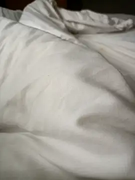 lucky9161 online show from February 17, 2026, 3:25 am