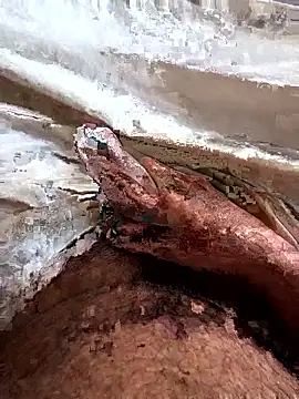 manish 8826 online show from April 6, 2026, 1:36 am