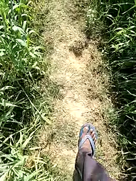 aryanvfit online show from February 14, 2026, 8:11 am