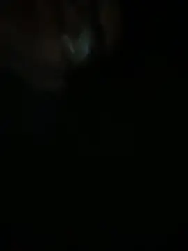 Femboysissy1919 online show from April 7, 2026, 1:17 am