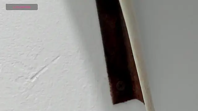 Criistal castro online show from April 6, 2026, 11:33 am