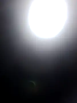 molly-xx online show from July 6, 2026, 10:12 pm