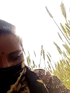 Pallavi hote online show from February 17, 2026, 5:26 am