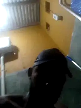 Deniodamasio online show from March 1, 2026, 9:06 pm