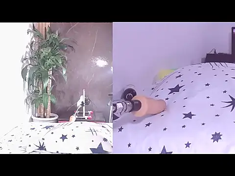 Carol Swet online show from April 21, 2026, 11:49 am