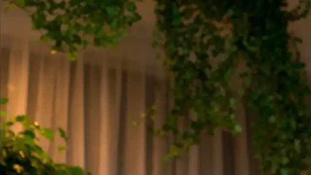 TheMaddisonShow  online show from March 4, 2026, 3:56 am