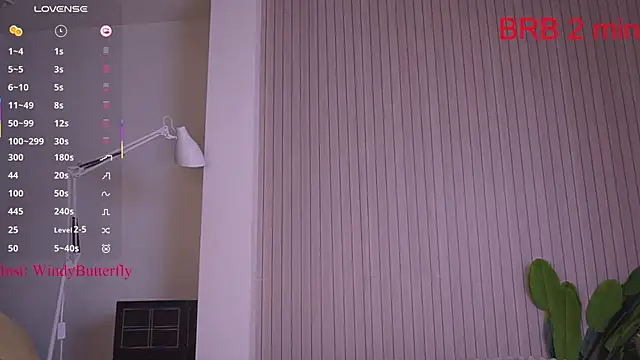 WindyButterfly online show from April 21, 2026, 7:25 am