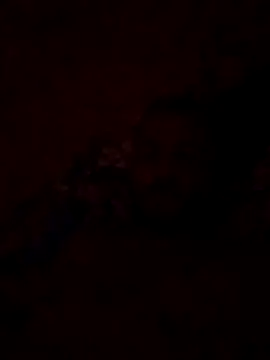 Blisiomar online show from May 30, 2026, 12:52 am