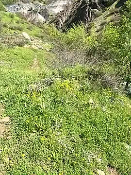 TurkeyMen online show from April 29, 2026, 6:28 am