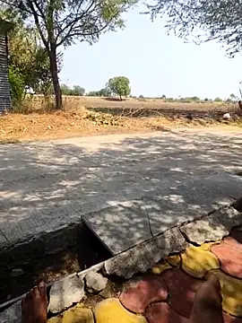 Fantasy King 3939 online show from March 13, 2026, 8:43 am