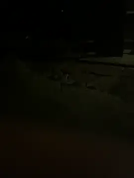 Snapshot of princessandthefootjob chatting on March 31, 2026, 4:35 am princessandthefootjob online show from March 31, 2026, 4:35 am