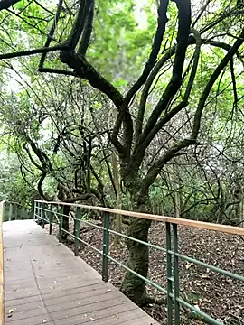 Snapshot of The_Conquer chatting on April 10, 2026, 6:34 pm The Conquer online show from April 10, 2026, 6:34 pm