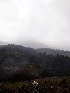 Snapshot of lyly_sexx chatting on March 14, 2026, 4:29 am lyly sexx online show from March 14, 2026, 4:29 am