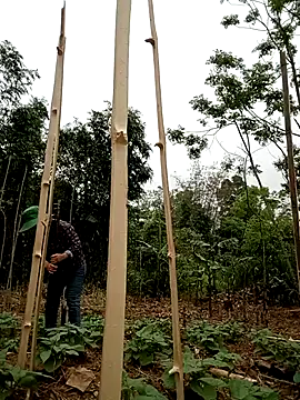 Snapshot of lyly_sexx chatting on April 1, 2026, 2:01 am lyly sexx online show from April 1, 2026, 2:01 am