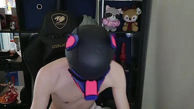 MellPUP online show from April 22, 2026, 4:52 pm