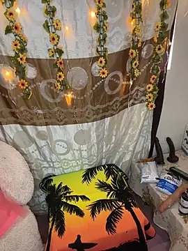 Antonella guzman-1 online show from March 17, 2026, 7:06 pm