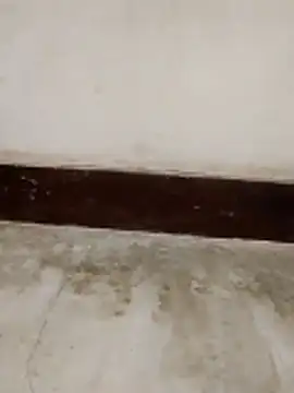 Student girl00 online show from March 15, 2026, 5:02 am