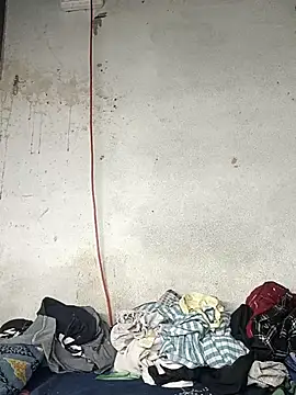 Delhi Patola online show from April 18, 2026, 7:07 pm