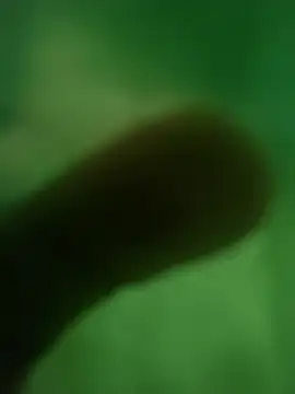 Snapshot of ffgffefgg chatting on March 12, 2026, 12:39 am ffgffefgg online show from March 12, 2026, 12:39 am