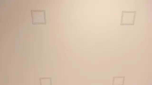 lilly williamss online show from April 9, 2026, 6:19 am