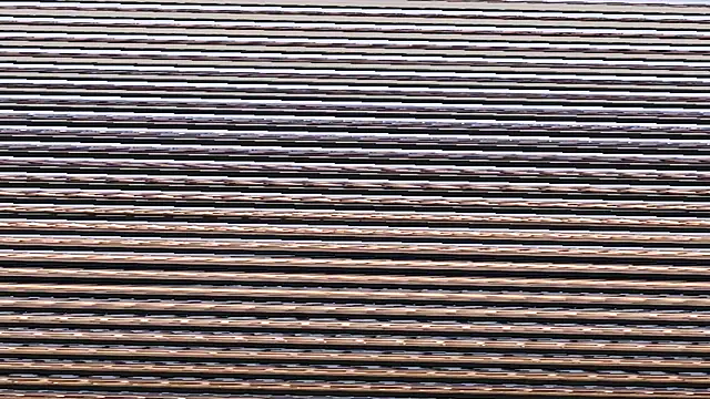 horsemeatcock ellison online show from April 15, 2026, 4:41 am