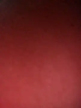 leidi-95- online show from April 7, 2026, 3:34 pm