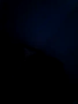 Vaishnavii online show from March 21, 2026, 8:19 am