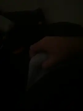 Snapshot of yassineamri chatting on March 28, 2026, 1:22 pm yassineamri online show from March 28, 2026, 1:22 pm