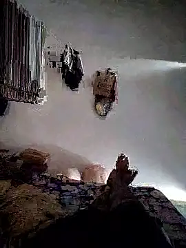 roselover2222 online show from March 29, 2026, 10:48 am