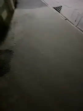 Wildlovee online show from April 12, 2026, 8:58 pm