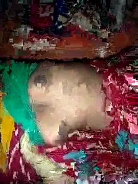 Snapshot of deshi_girl_2007 chatting on April 16, 2026, 8:37 am deshi girl 2007 online show from April 16, 2026, 8:37 am