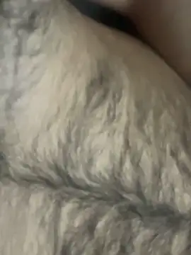 TurkishBoyzs online show from April 11, 2026, 7:29 pm