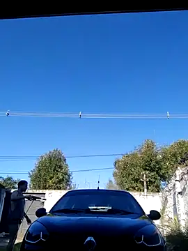 Switzerland32 online show from April 12, 2026, 8:58 pm