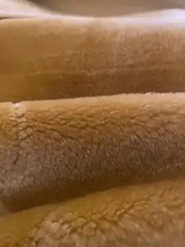 Snapshot of Ashwak_trans chatting on April 4, 2026, 12:02 pm Ashwak trans online show from April 4, 2026, 12:02 pm