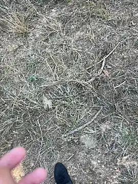 yingzi003 online show from April 7, 2026, 7:42 am