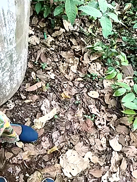 Snapshot of Chandni78 chatting on April 2, 2026, 7:50 am Chandni78 online show from April 2, 2026, 7:50 am