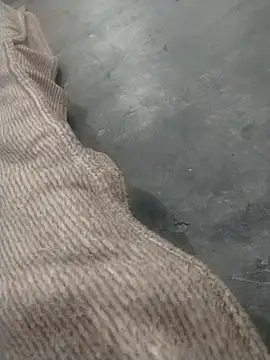 nuncaa0 online show from April 5, 2026, 2:42 am