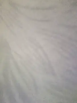 Bristy BigBoobs online show from July 1, 2026, 6:15 am