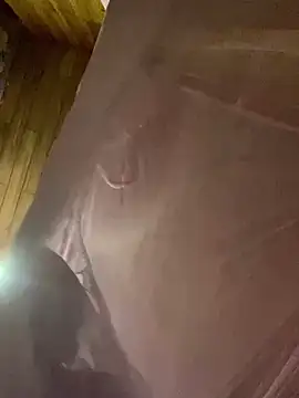   Sunflower   online show from April 11, 2026, 1:04 pm