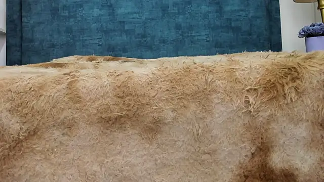 Snapshot of IsadoraVex chatting on April 14, 2026, 12:44 pm IsadoraVex online show from April 14, 2026, 12:44 pm