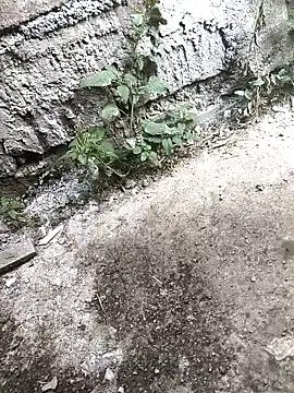 Snapshot of Rocky_pune chatting on April 16, 2026, 3:40 am Rocky pune online show from April 16, 2026, 3:40 am