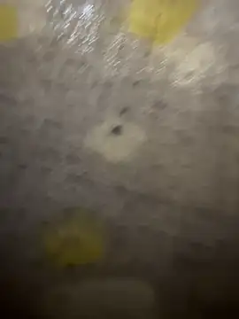 Snapshot of xezie chatting on April 10, 2026, 9:58 am xezie online show from April 10, 2026, 9:58 am