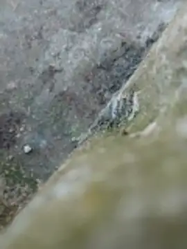 Couple69sexe online show from April 22, 2026, 4:19 pm