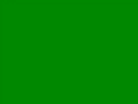 vvvan2026 online show from May 3, 2026, 4:35 pm