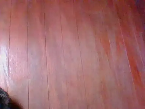 Annisof online show from April 25, 2026, 1:41 pm